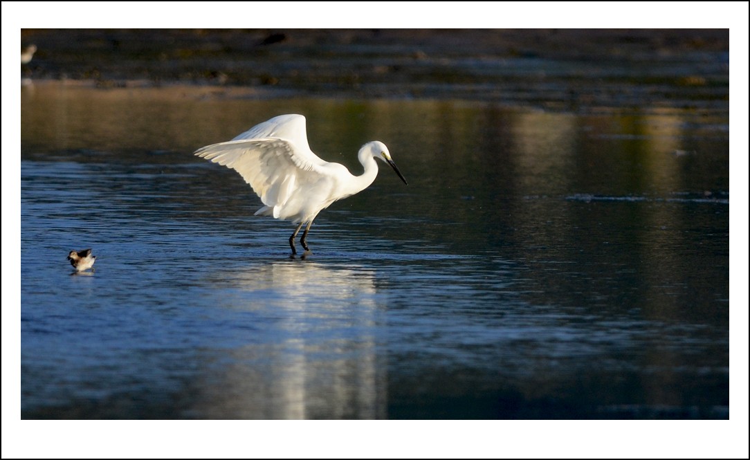 DSC_7834_conew1.jpg