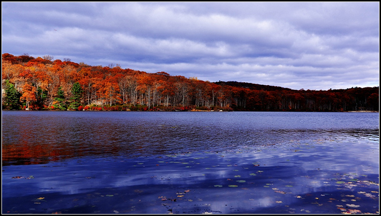 DSC_5282.jpg