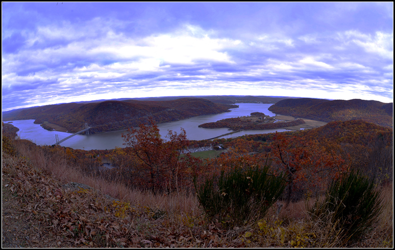DSC_5371.jpg