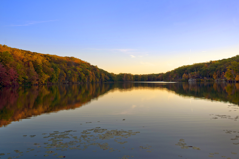 DSC_5599aa.jpg