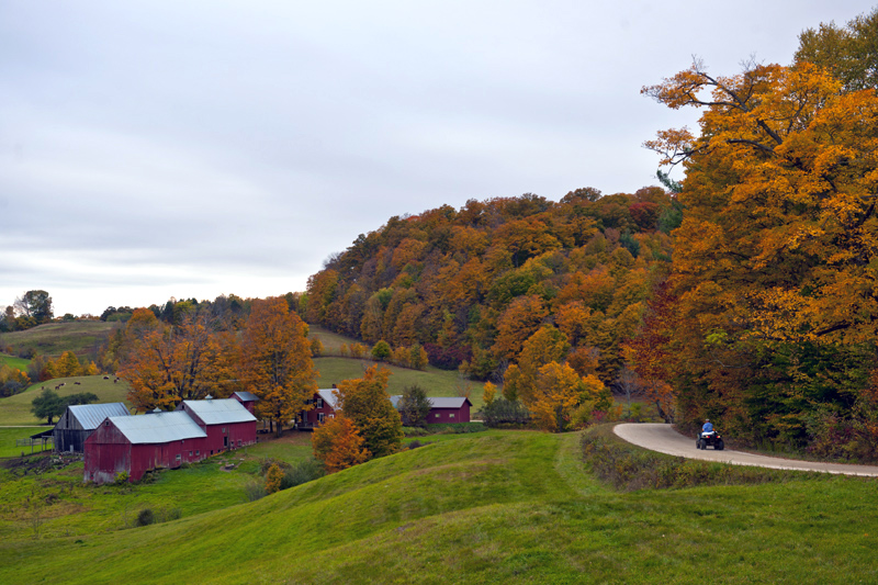 DSC_6823aa.jpg