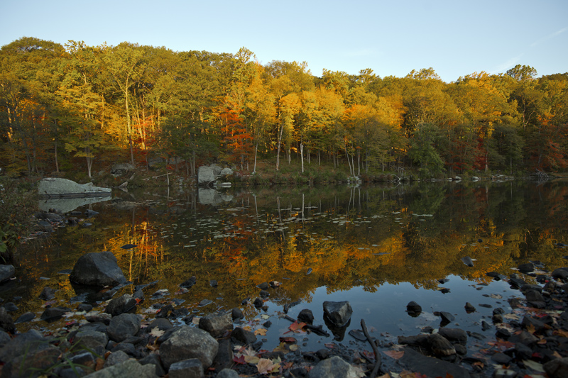 DSC_5612aa.jpg