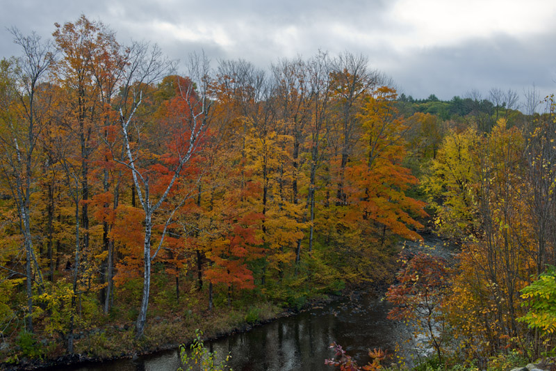 DSC_6891aa.jpg