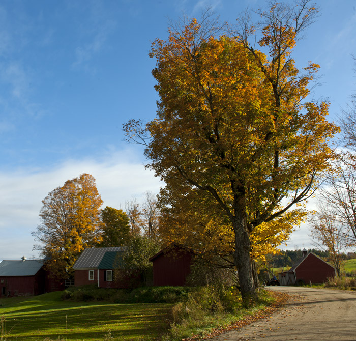 DSC_6856aa.jpg