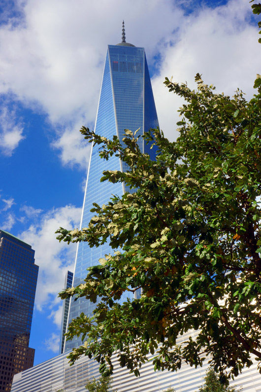 DSC07428aa.jpg