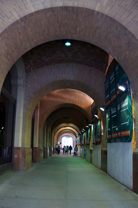 DSC07460aa.jpg