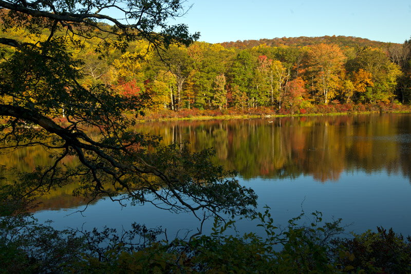 DSC_5633aa.jpg
