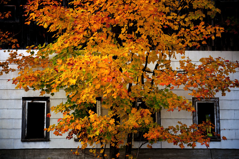 DSC_7030aa.jpg
