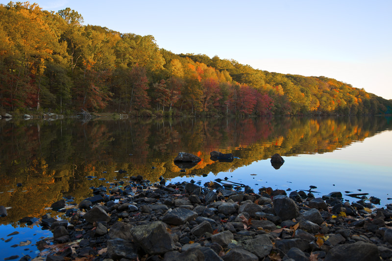 DSC_5611aa.jpg
