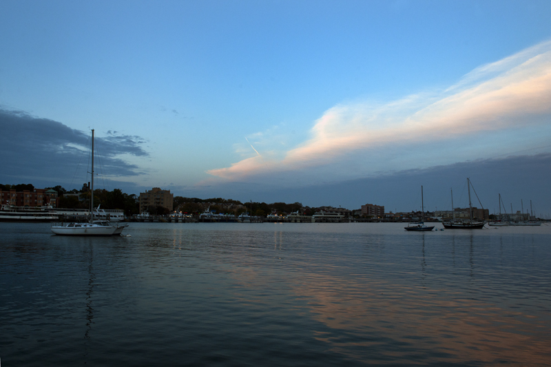 DSC_5294aa.jpg