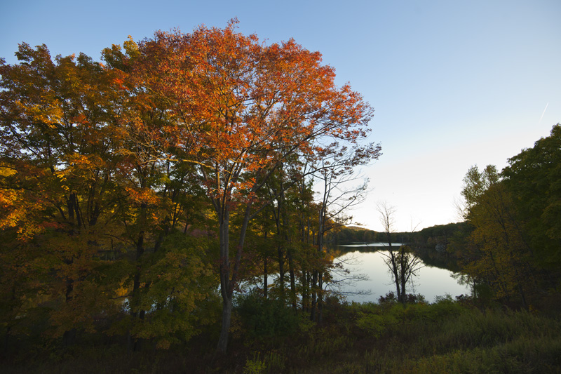 DSC_5617aa.jpg
