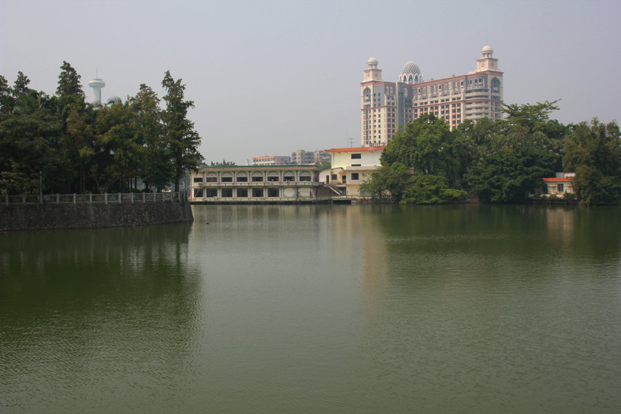 110.jpg