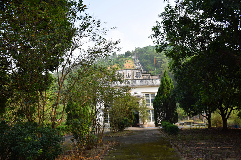 DSC_0070_y7yuu.jpg
