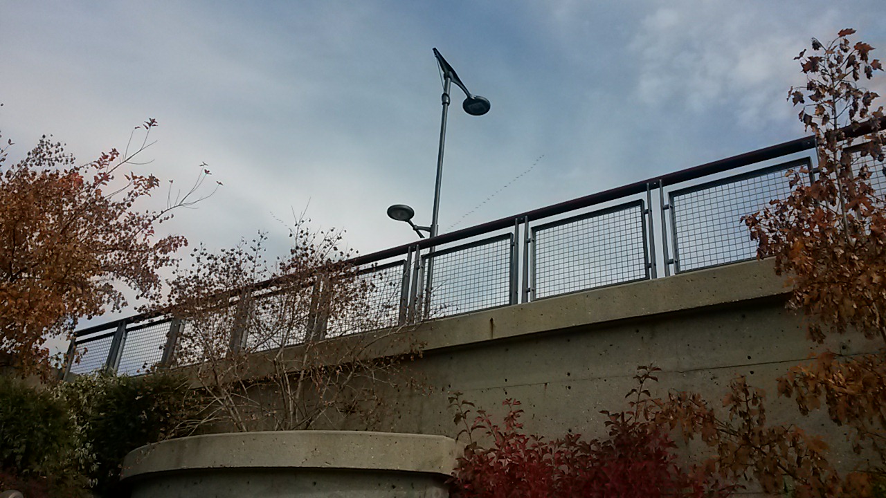 20141015_123728.jpg