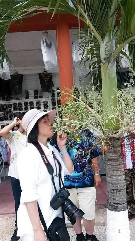 20140820_120256 a.jpg