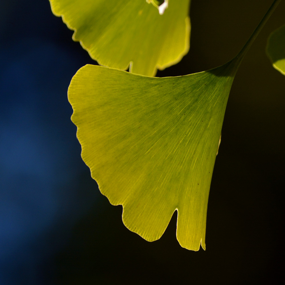 DSC_6691_8.jpg