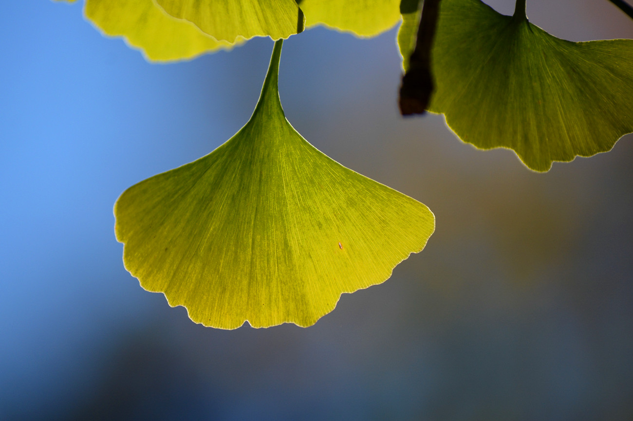 DSC_6686_7.jpg