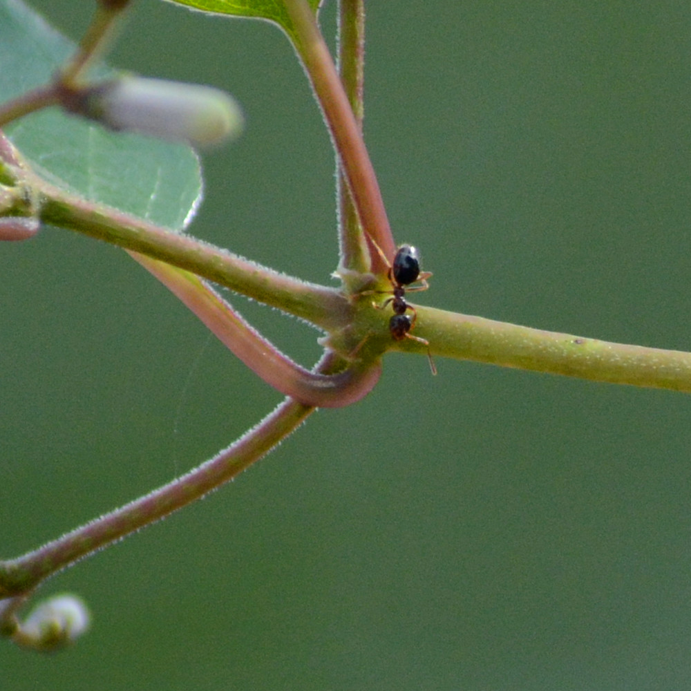 DSC_4524_24.jpg
