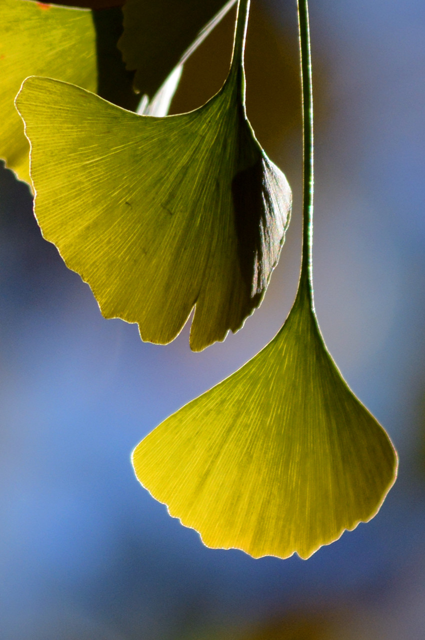 DSC_6976_115.jpg