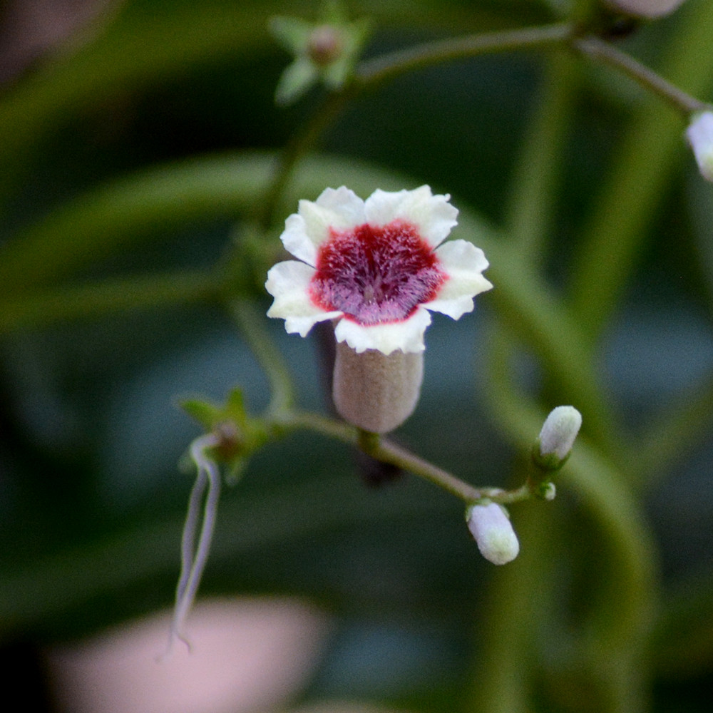 DSC_4644_776.jpg
