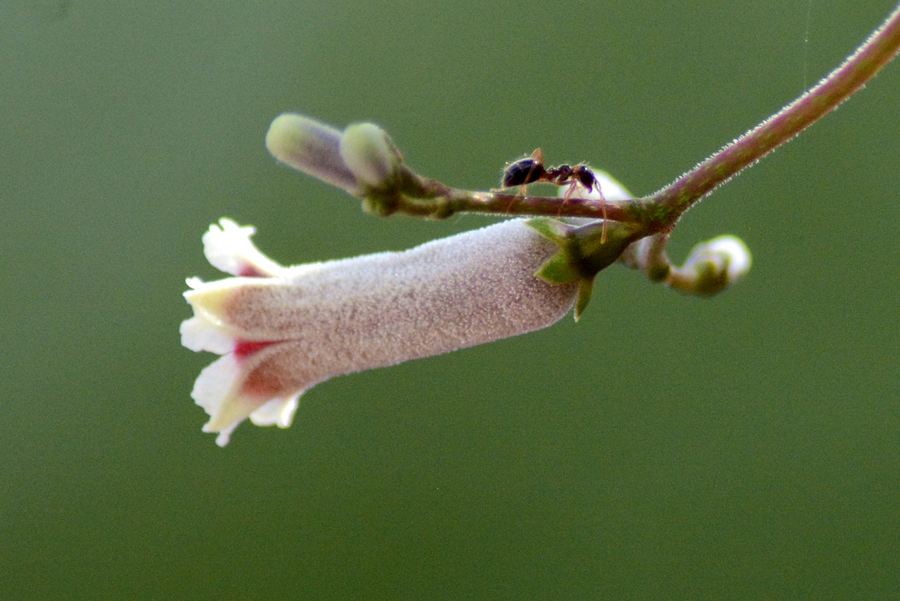 DSC_4518_23.jpg