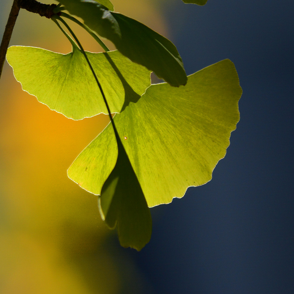 DSC_6993_112.jpg