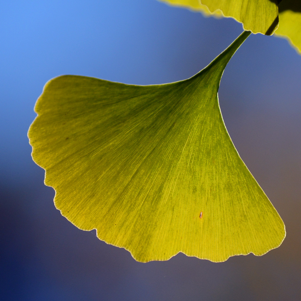 DSC_6686_6.jpg