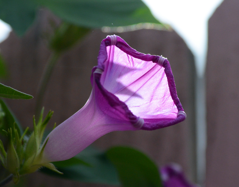 DSC_4829_777.jpg