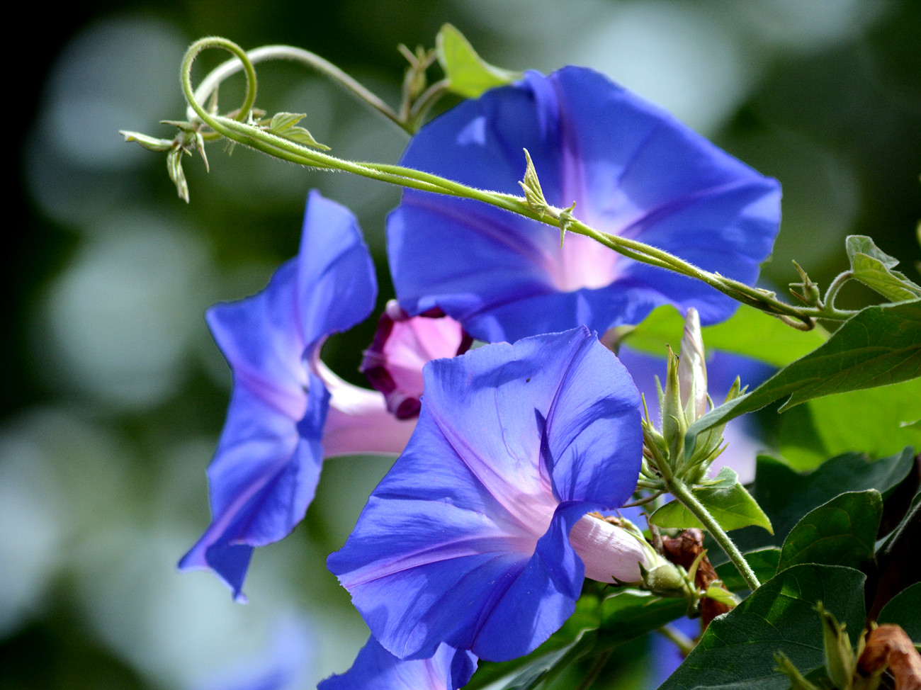 DSC_4780_989.jpg