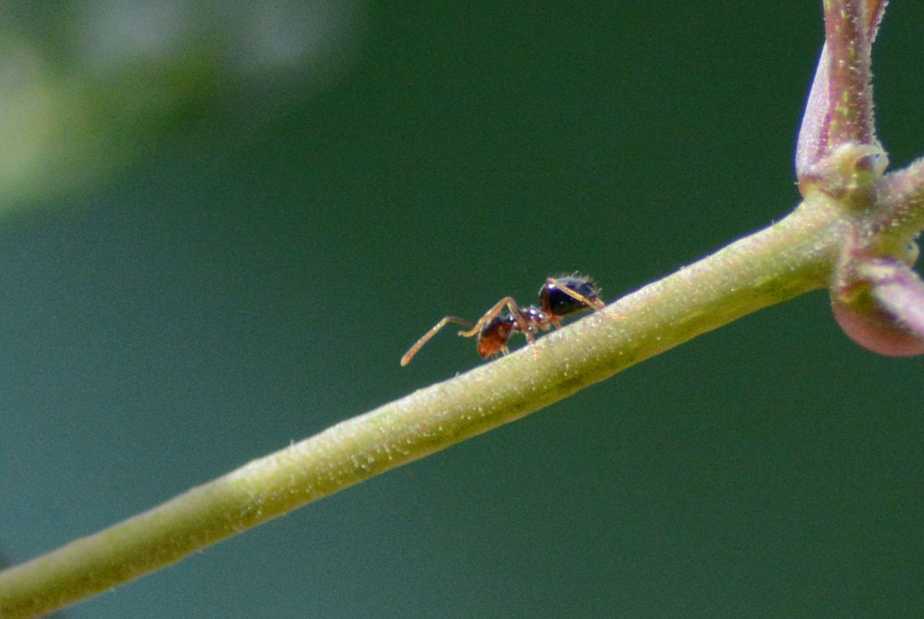 DSC_4484_20.jpg