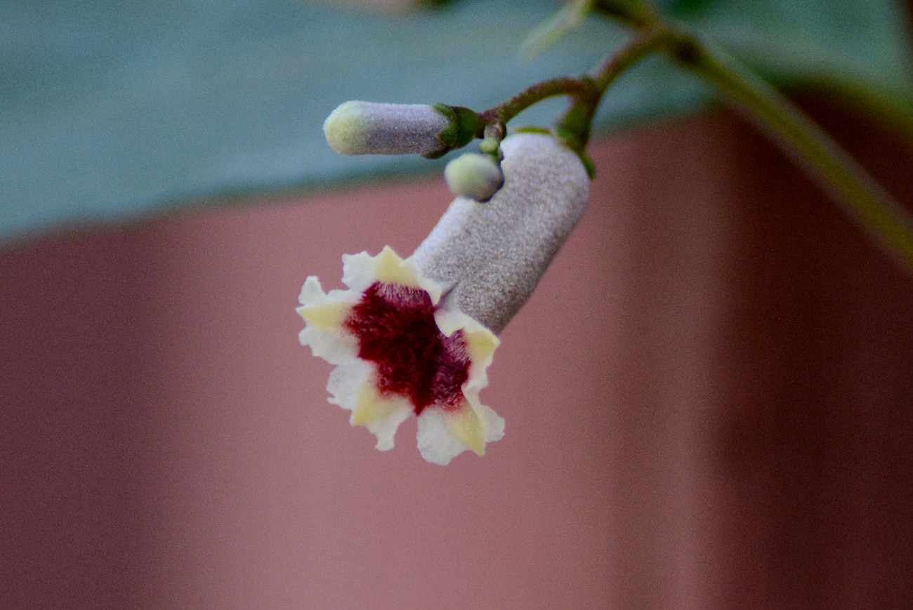 DSC_4570_353.jpg