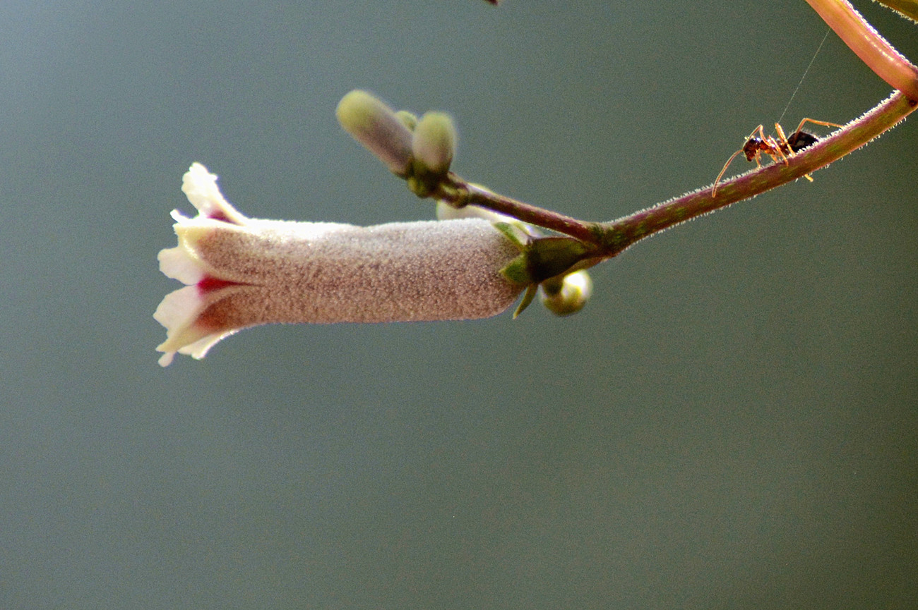 DSC_4427_14.jpg