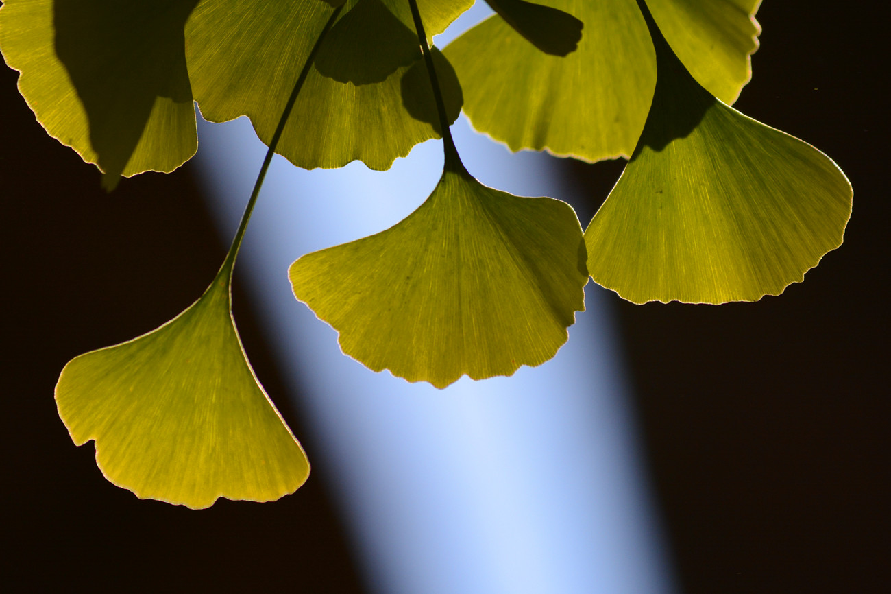 DSC_6682_5.jpg
