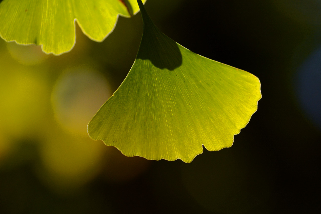 DSC_6689_7.jpg