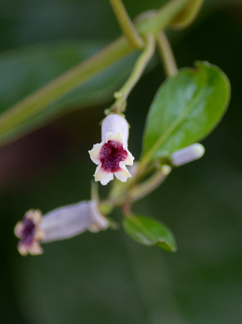 DSC_4367_5.jpg