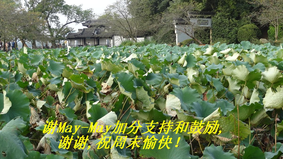 лMay-Mayӷֺ֧͹,лл,ףĩ죡.JPG