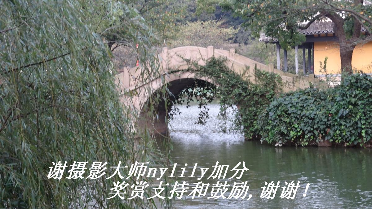 лӰʦnylilyӷֺֽ֧͹,лл.JPG