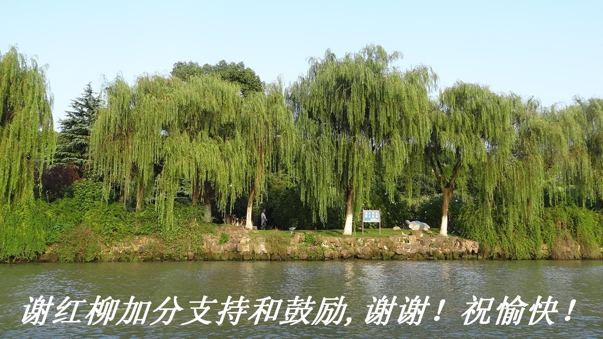 лӷֺ֧͹,ллף죡.JPG