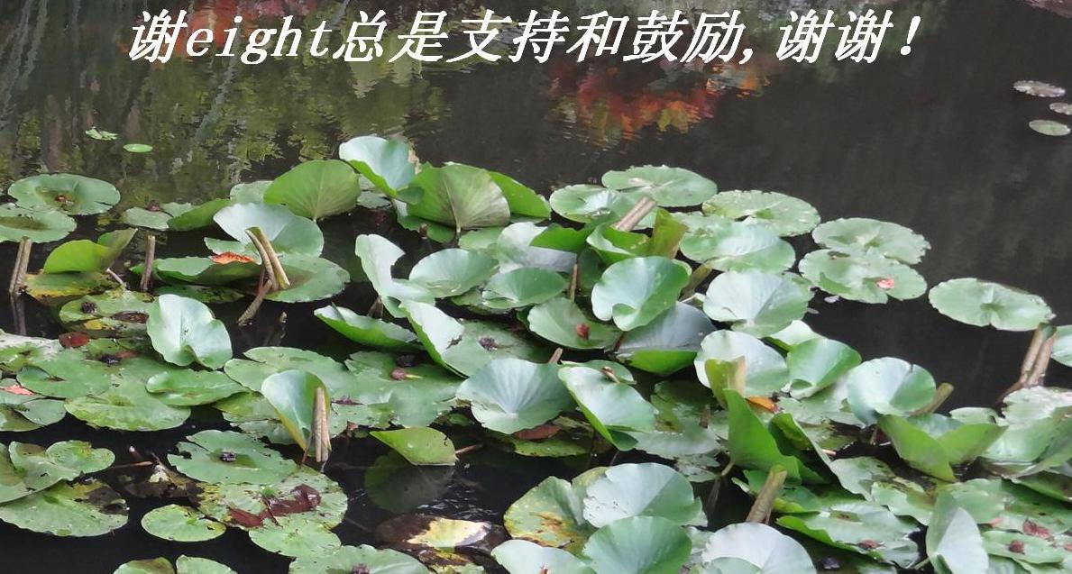 лeightֺ֧͹,лл.JPG
