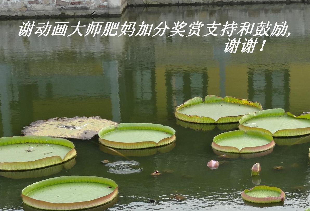 лʦӷֺֽ֧͹,лл.JPG