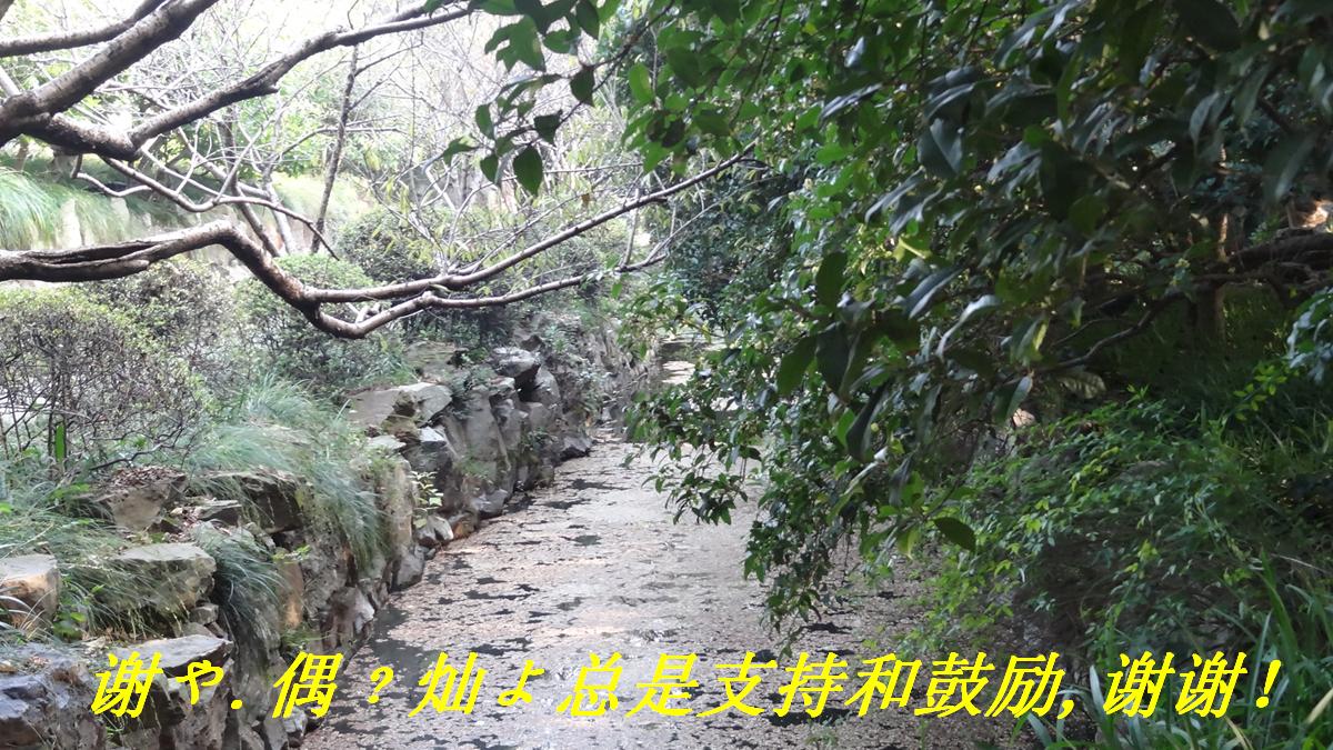 DSC03805.JPG