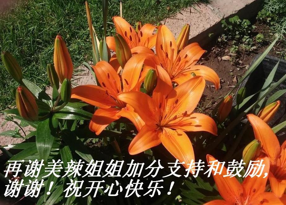 лӷֺ֧͹,ллףĿ֣.JPG
