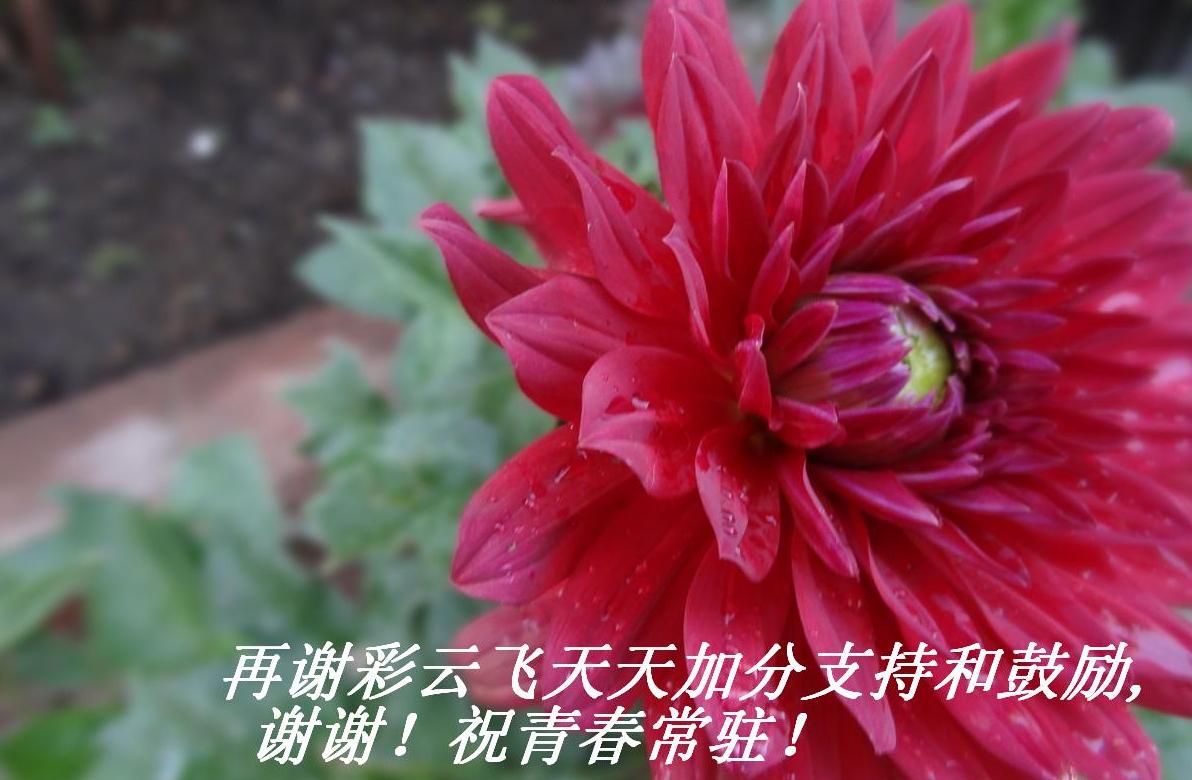 лƷӷֺ֧͹,ллഺפ.JPG