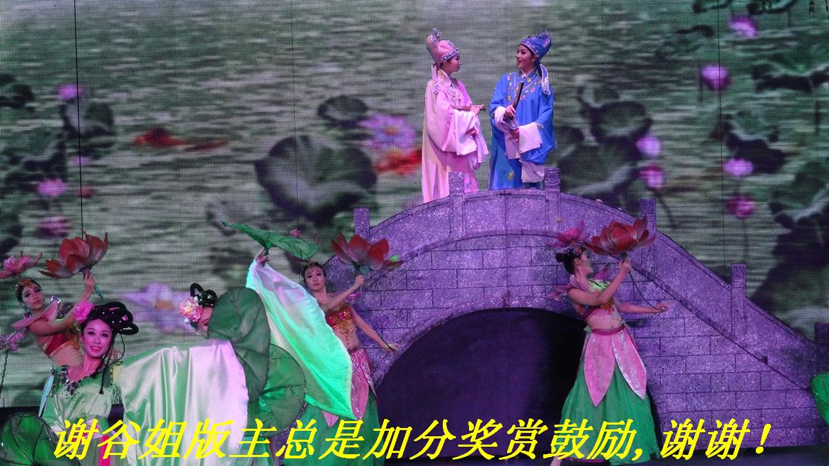 лȽǼӷֺֽ֧͹,лл.JPG