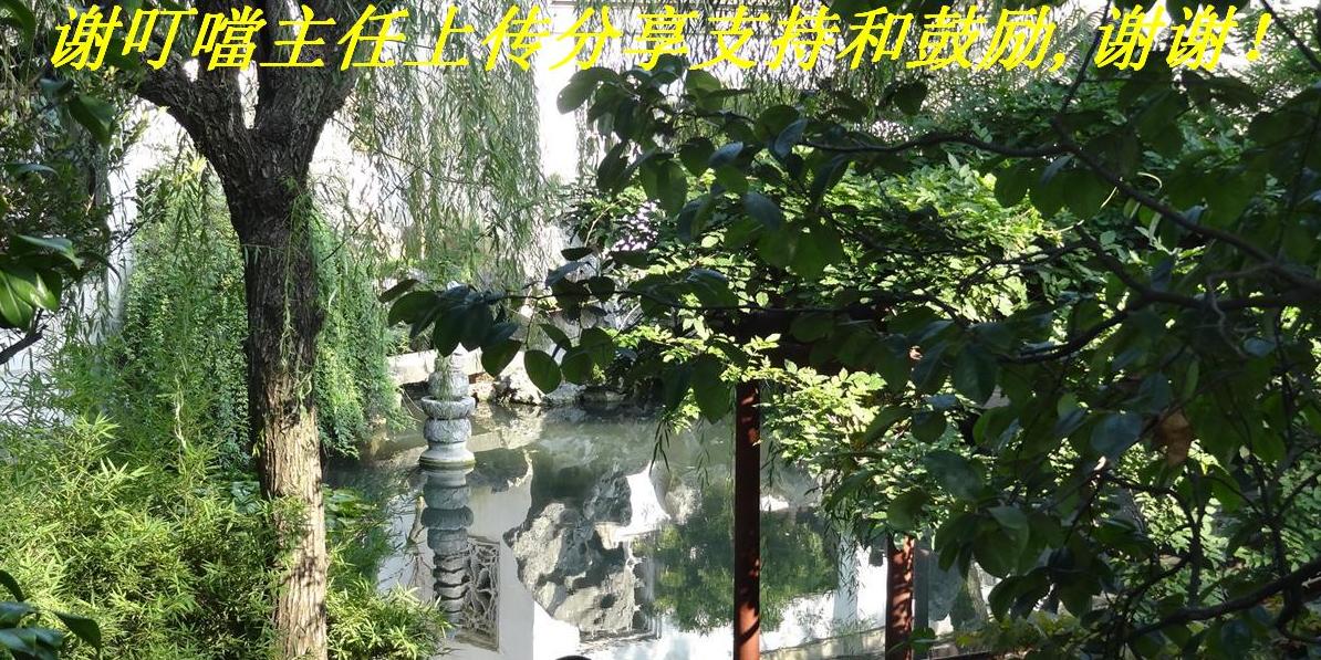 лϴֺ֧͹лл.JPG