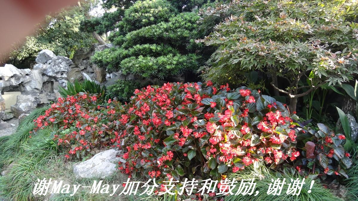лMay-Mayӷֺ֧͹,лл.JPG