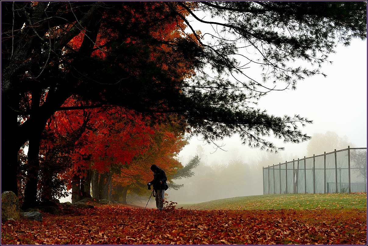 DSC_9693-2_.jpg