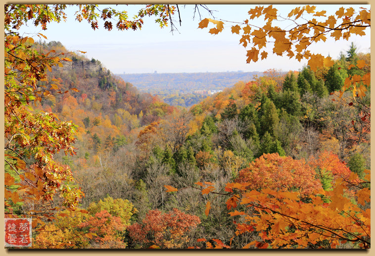 20141023 097_.jpg