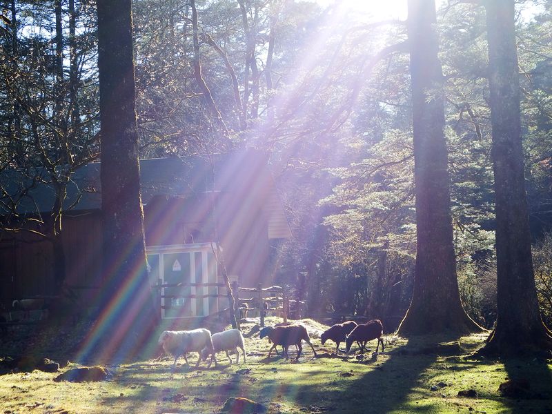 DSCF8614.jpg