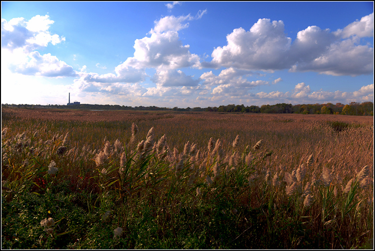 DSC_7273.jpg